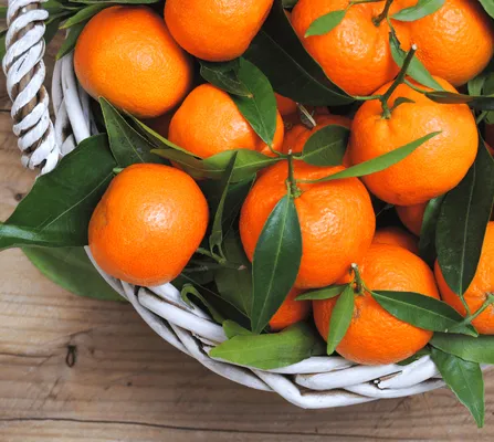 fresh fruit in winter