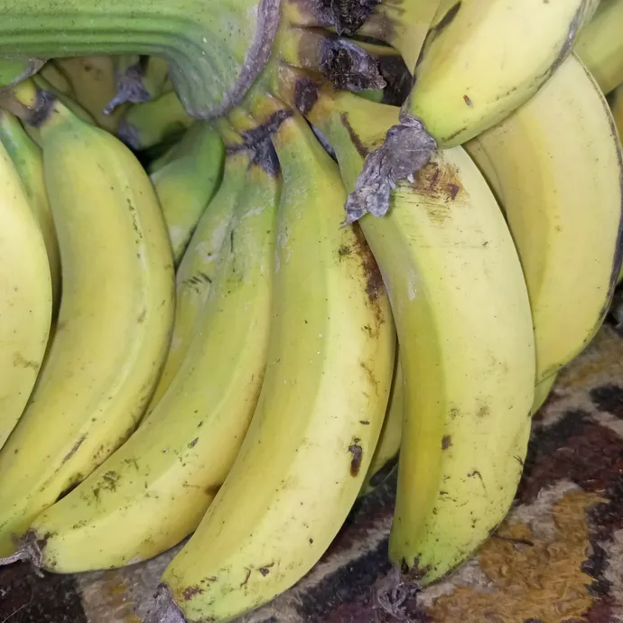 buy online banana from Kitchen Hand Online in Lahore