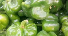 capsicum or shimla mirch in lahore at Kitchen Hand Online