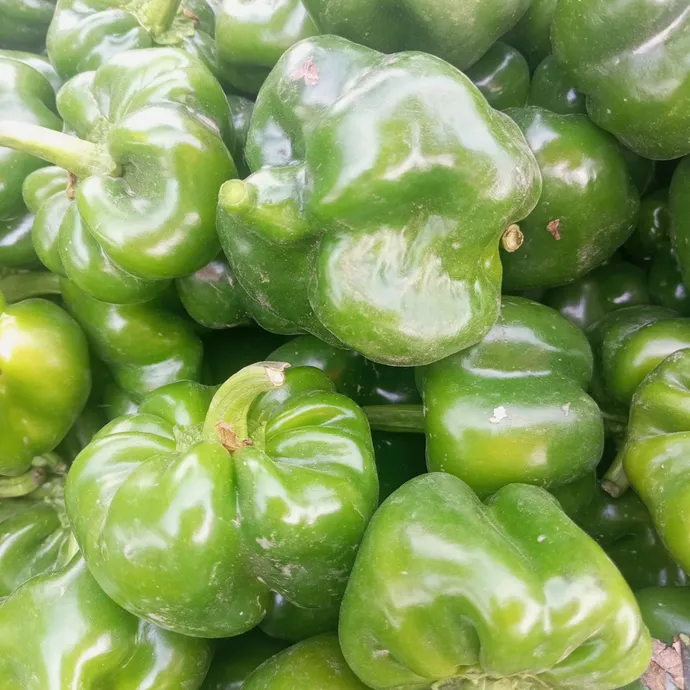 capsicum or shimla mirch in lahore at Kitchen Hand Online