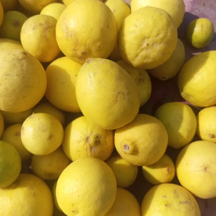 buy online desi lemon in lahore