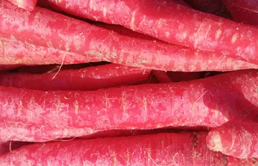 carrot in lahore from Kitchen Hand Online