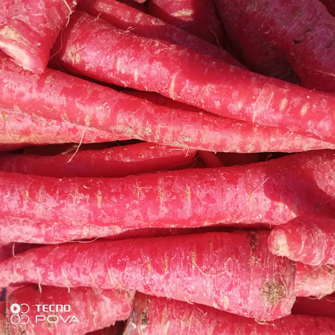 carrot in lahore from Kitchen Hand Online