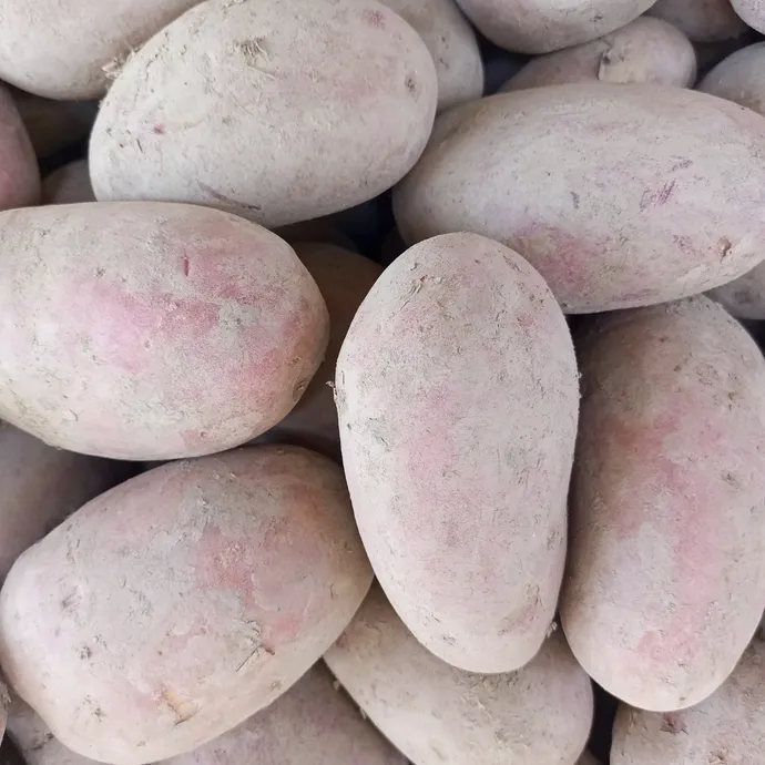 potato vegetable online in lahore