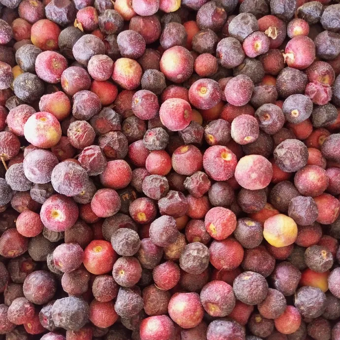 buy falsa fruit in lahore from Kitchen Hand Online