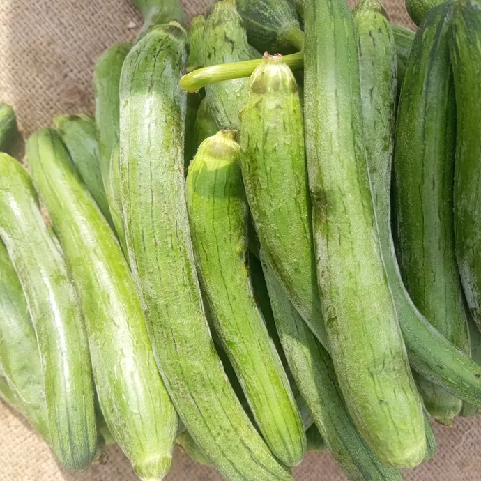 Zucchini in lahore