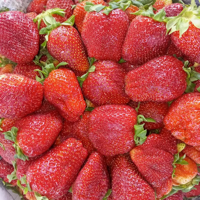 Strawberry