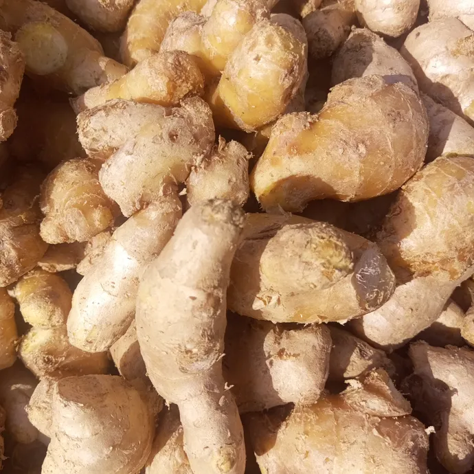 Buy Ginger China from Kitchen Hand Online in Lahore