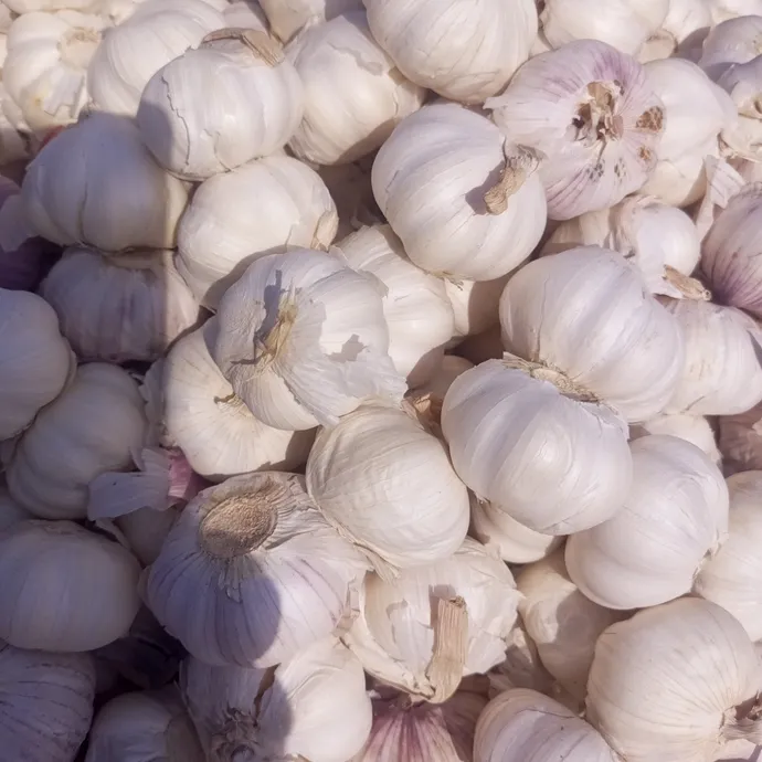 desi garlic or local garlic in lahore