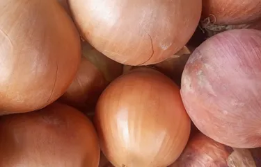 buy onion white in lahore