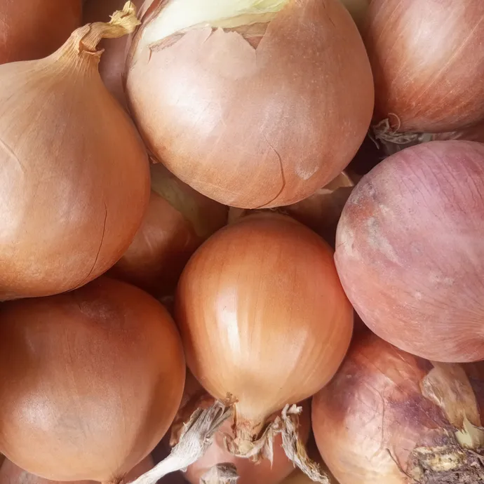 buy onion white in lahore