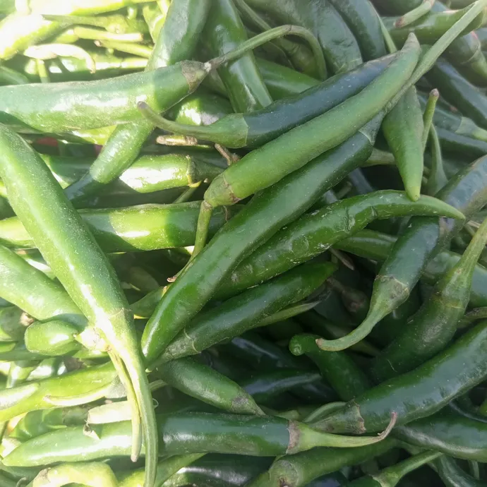 buy online green chilli in lahore