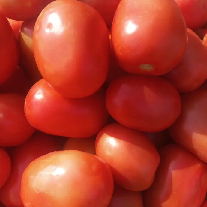 buy online fresh tomato in lahore