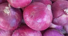 buy online onion red in lahore