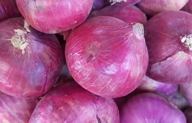 buy online onion red in lahore