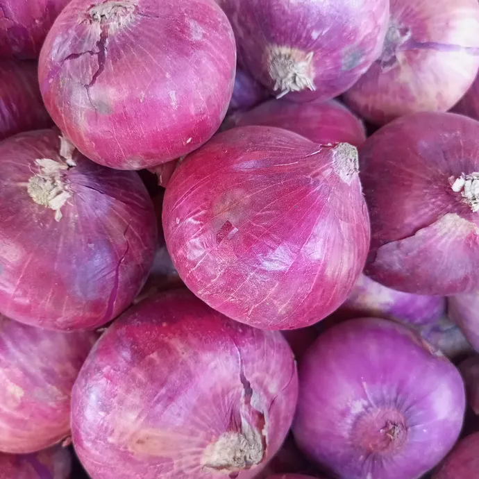 buy online onion red in lahore