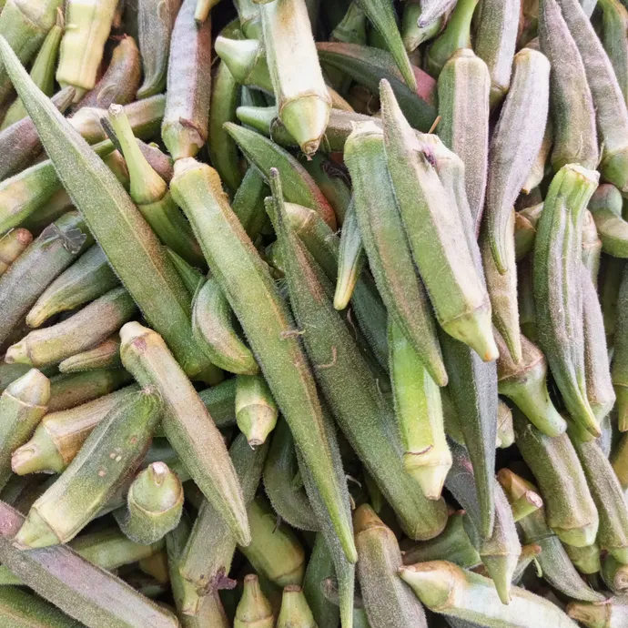 buy lady fnger or okra in lahore from Kitchen Hand Online